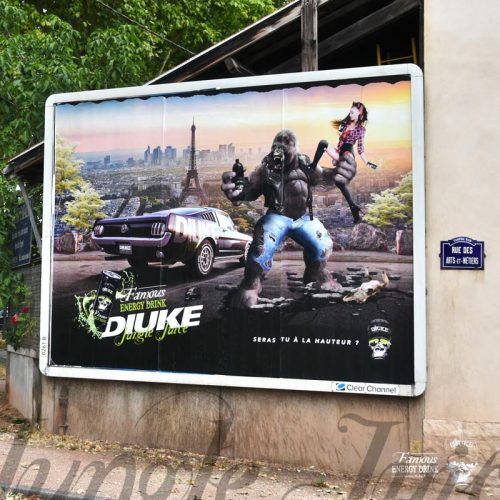 Campagne publicitaire Diuke, n°6